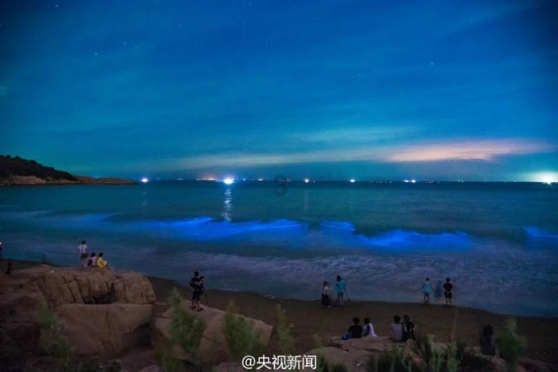 超数码宝贝3.0